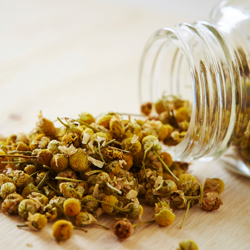 Chamomile